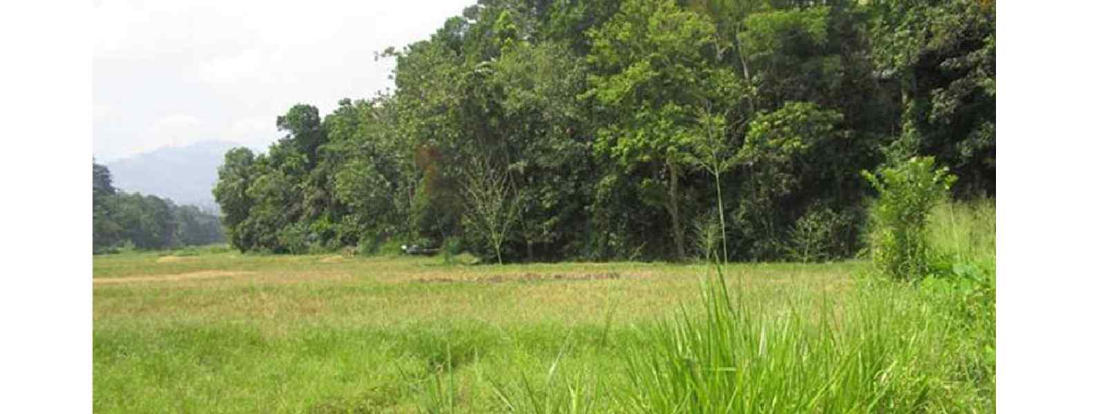 වගා නොකළ ඉඩම් හිමියන්ට රජයෙන් දැනුම්දීමක්